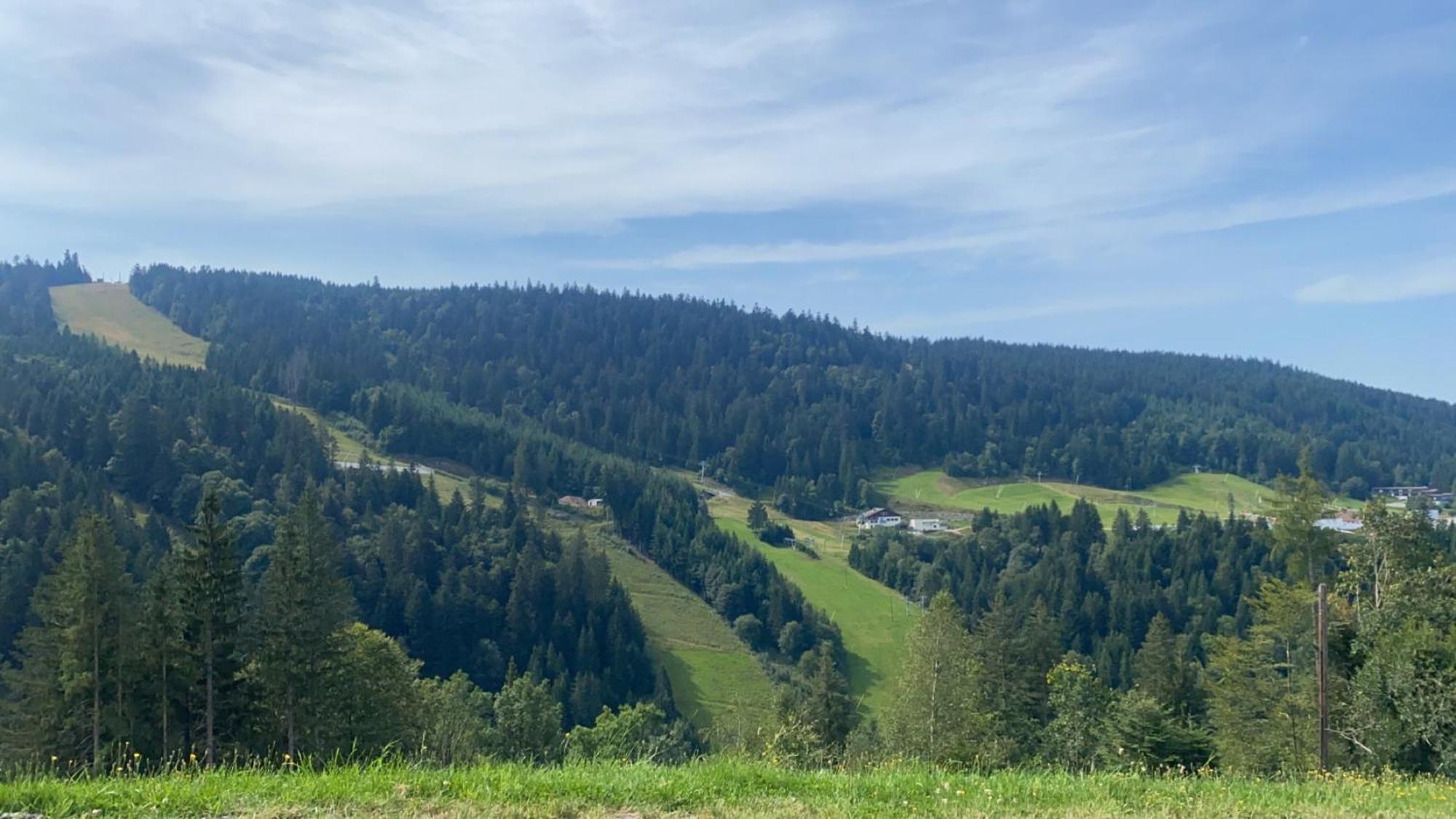 Appartement Sur Les Hauteurs De Gérardmer Exteriér fotografie